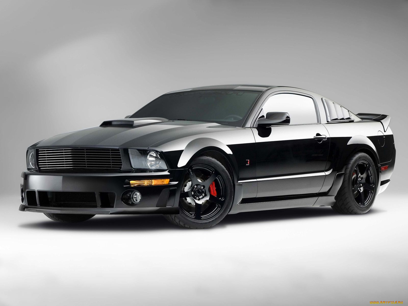 , mustang